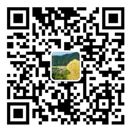 手机welcome购彩中心